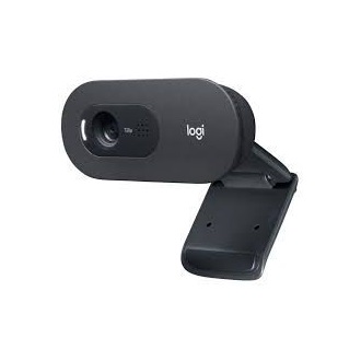 Logitech C505e HD Business webkamera fekete