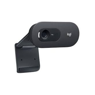 Logitech C505e HD Business webkamera fekete