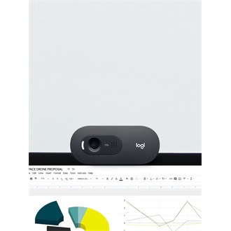 Logitech C505e HD Business webkamera fekete