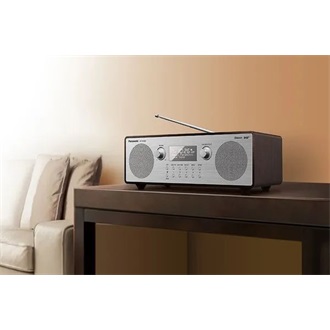 Panasonic RF-D100BTEGT hordozható 2.0 rádió