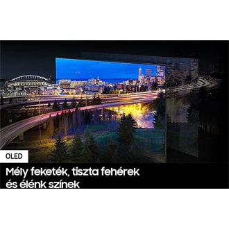 Samsung S90F Vision AI 55" OLED smart TV