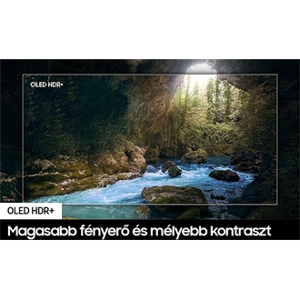 Samsung S90F Vision AI 55" OLED smart TV