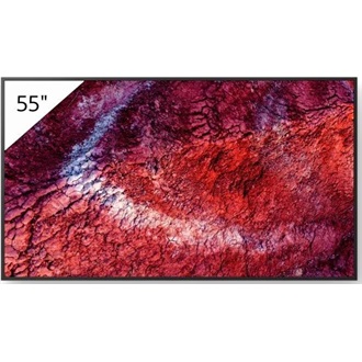 Sony Bravia FW-55BZ40P Professional 24/7 55" IPS LED smart LFD monitor fekete (Android TV)