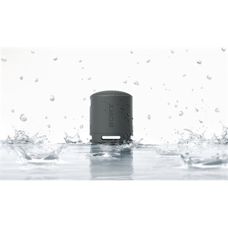 Sony SR-SXB100 hangszóró fekete