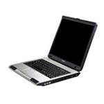 Toshibák két maggal