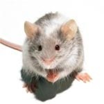 Vessen magára, aki nyaral!