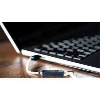 ifi GO LINK 2 2.0 USB-C DAC