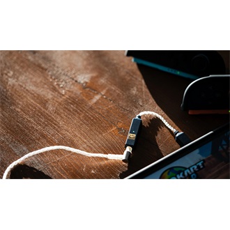 ifi GO LINK 2 2.0 USB-C DAC